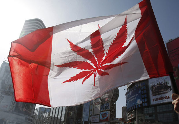Cannabis+in+Canada