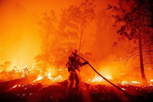 Wildfires in California