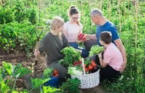 Image of family gardening by Rural Living Today