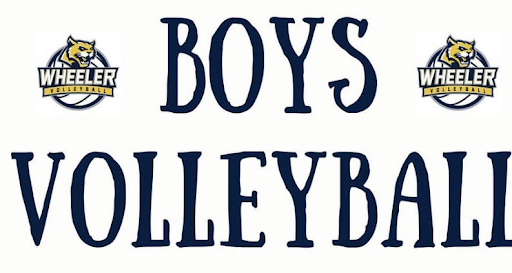 Boys Volleyball promo logo