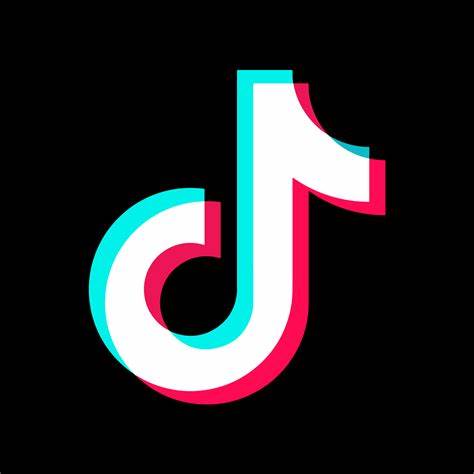 Down With the Talk: The Battle Over TikTok